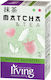 Irving Matcha Tea 20 Bags