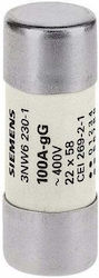 Siemens Zylindrische Sicherung 22x58mm 100A