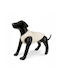Barry King Dog Coat Beige 3XL With Back Length 60 cm