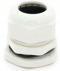 Cable Gland Cable Gland Pg 11 Ip68 5-10mm Pgs11 Cable Gland Cable Gland Pg 11 Ip68 5-10mm Pgs11