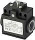 Pokój Terminal Switch 2 No Slow Plastic Lever Roller Ø18 Pap1t41pw20 A37-1085