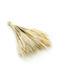 Dried Triticale Bleached