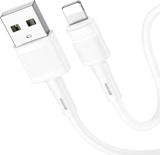 Hoco Usb USB-A to Lightning Cable Λευκό 1m TM00048-999