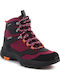Icepeak Women's Hiking Waterproof Boots Purple