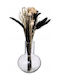 Getrocknetes Pampasgras Pflanze 27cm in Yala (Verschiedene Designs) Atmosphera