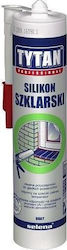 Tytan Tytan Aquariumsilikon Schwarz 280ml