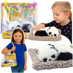 Lean Toys Teddybär Für 3+ Jahre 18 cm
