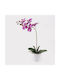 Διακοσμητικό Φυτό Γλάστρα Οrchid Beauty Inart 30x13x46εκ