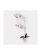 Декоративно Растение В Саксия Orchid Бяла Inart 36x17x65см