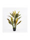 Декоративно Растение в Саксия Cycas Inart Зелено Φ55x80см