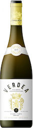 Ktima Grampsa Wein Verdeca Weiß Trocken 750ml Ktima Grampsa Wein Verdeca Weiß Trocken 750ml