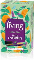 Irving Τσάι 20 Φακελάκια