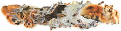 Lean Toys Stickers 50 Pieces