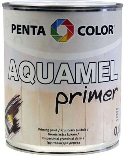 Pentacolor Primer 0.8kg