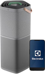 Electrolux Ionisator / Luftreiniger für Abdeckungsbereich 145m²