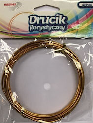 Brewis Ανθοδετικό Σύρμα 3m Df1 Χρυσό Brewis Ανθοδετικό Σύρμα 3m Df1 Χρυσό