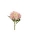 Floare De Paște Sucursala Vas De Apă Roz 14x35cm