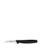 Pal Pro Peeling Knife from Stainless Steel 7cm
