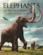 Elephants And Their Fossil Relatives: A 60 Million Year Journey Marco P. Ferretti Princeton University Press