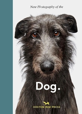 New Photography Of The Dog Jilke Golbach Hoxton Mini Press