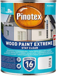 Pinotex 10lt Bw