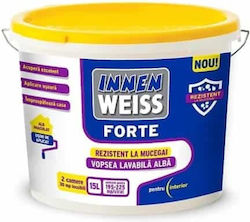 Plastic Paint For Interior Usage Intense White 15lt Plastic Paint For Interior Usage Intense White 15lt