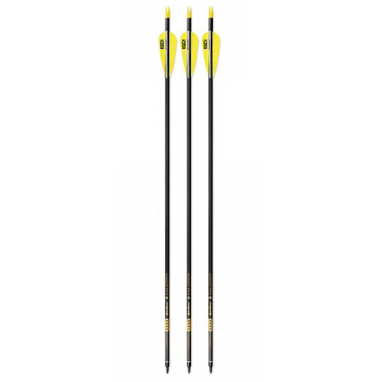 Set 3 Săgeți Arc Compus 6.2mm Ax Fibra De Carbon Spine 300 Lungime 32 Inch Pandarus