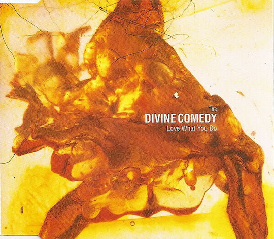Divine Comedy Love What You Do Cd