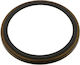 Magnetische ABS-Ring Renault Laguna II Scenic II Espace IV Vel Satis Hintere Bremsscheibe
