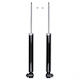 Set Amortizoare De Șocuri Audi A6 2.0-4.2 2004-2011 Spate