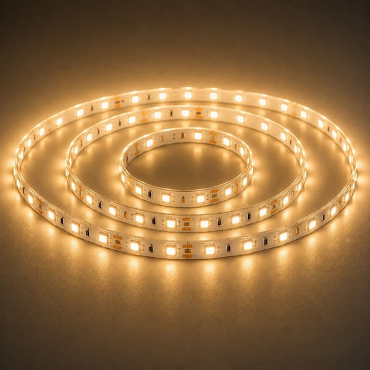 Led7 LED Лента 24V Топла Бяла Светлина 10m Тип SMD2835