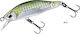 Daiwa Silver Creek Künstliche Köder Fisch (Minnow) 5cm/4,6g Ayu