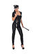 Sexy Costume