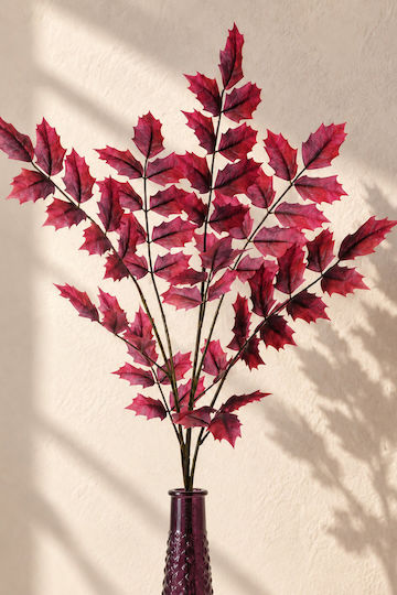 Mahonia Branch Purple Foliage 0x0x106cm Monochrome Evergreens