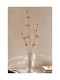 Zweigstelle Rote Kynoroda 0x0x83cm Einfarbig Evergreens