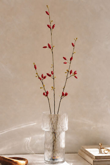 Zweigstelle Rote Kynoroda 0x0x83cm Einfarbig Evergreens