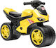 Aiyaplay Convertible Tricycle with Parental Han...