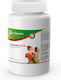 Avianvet Vitamino Plus – Multivitaminpulver