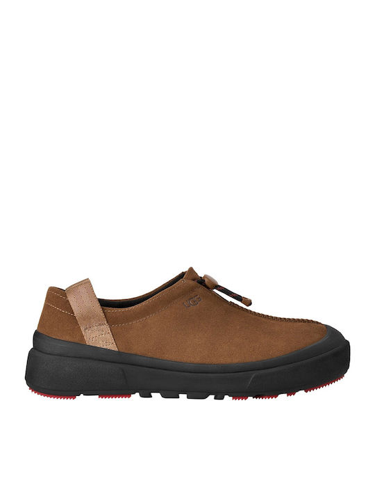 Tasman Men's Slippers Brown