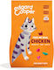 Edgard Cooper Nasses Katzenfutter für Erwachsene Katzen mit Huhn 325g