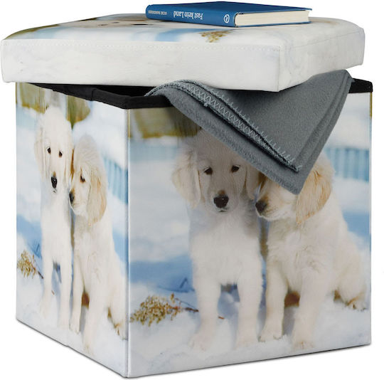 Taburet Camera De Zi Cu Spațiu De Depozitare Tapițat Cu Piele Sintetică Multicolor 38x38x38cm