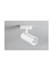 Fan Europe LED Warm White Spot In White Colour