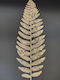 Weihnachtskranz Dekoratives Zweigstelle Mit 80cm Länge Gold