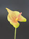 Künstliche Blume Anthurium Gelb 30cm