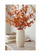 Kaemingk Decorative Ceramic Beige Vase Φ19xH30cm