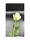 Künstliche Dekorative Rose Klein Weiß