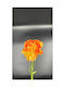 Künstliche Orange Gewürznelke Blume 52cm