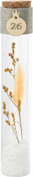 Beauty Home Wedding Favor Decorative Beauty Home Wedding Favor Decorative