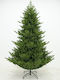 Weihnachtsbaum Starley Fichte 270cm