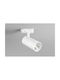 Fan Europe LED Warm White Spot In White Colour